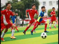 今日！CCTV5直播中国女篮PK日本+足球之夜国足备战，3平台转法网